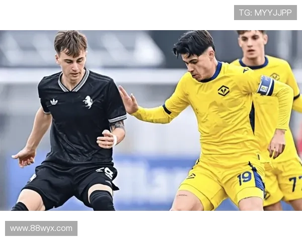 萨索洛对维罗纳意甲观赛指南